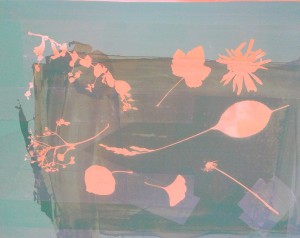 Screen Print